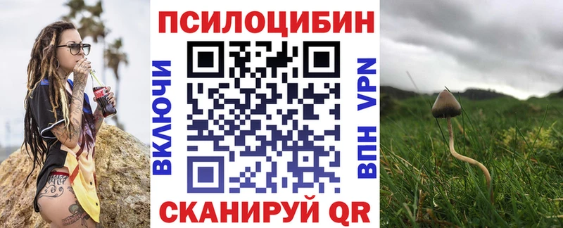Галлюциногенные грибы MAGIC MUSHROOMS  ссылка на мегу ССЫЛКА  Карабаш 